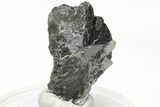 Metallic Wodginite Crystals - Itatiaia Mine, Brazil #214552-1